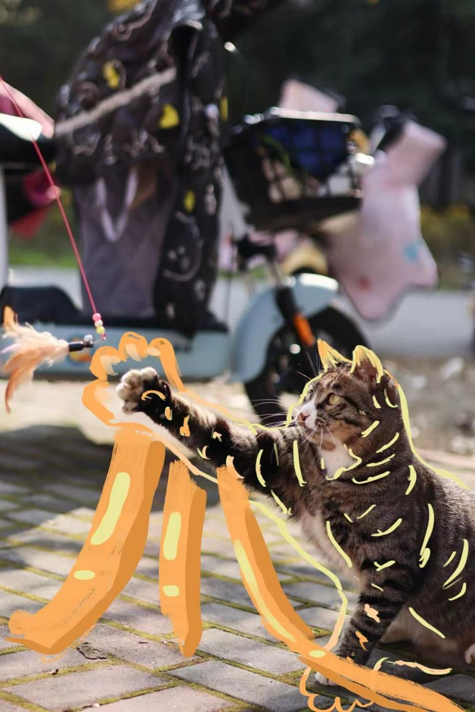 图片2.png