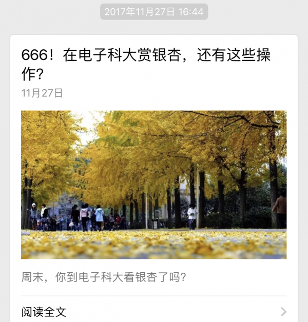 IMG_0444.PNG
