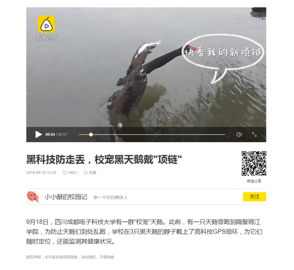 cff0f49bfca5bd0026b6efaf71ab508.png