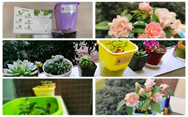 03种花图.jpg