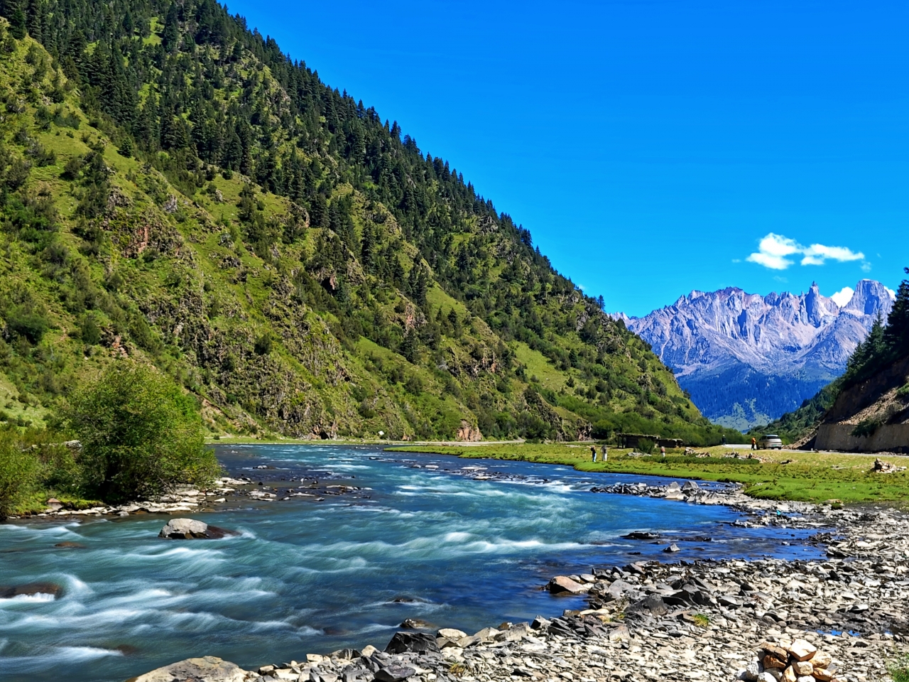 8341f46b1a7b814ecc506643bedd8de7_5f84a.j