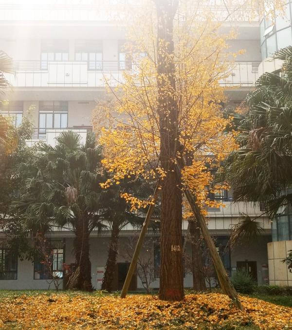 图片7.jpg