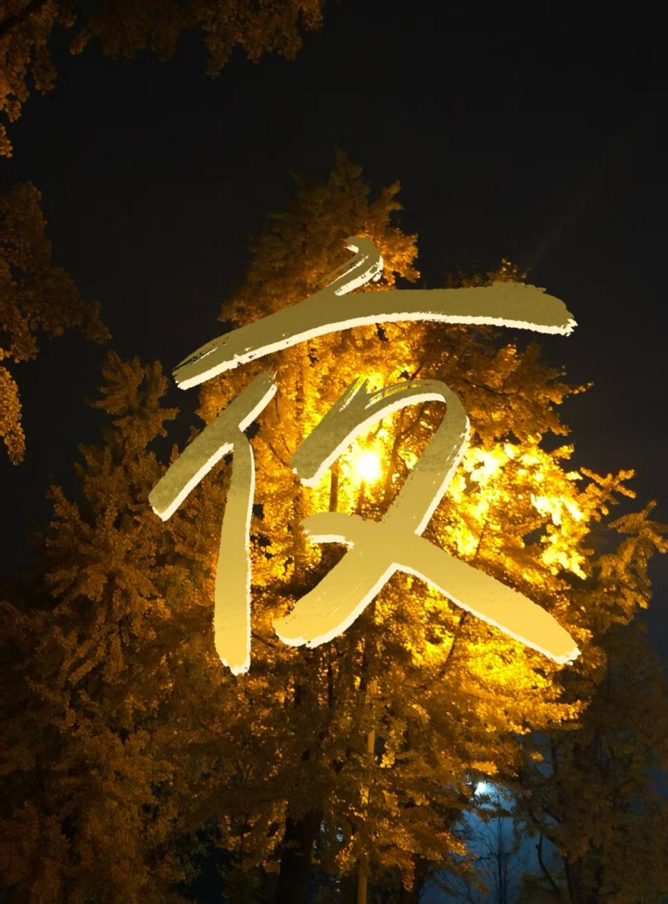 图片8.png