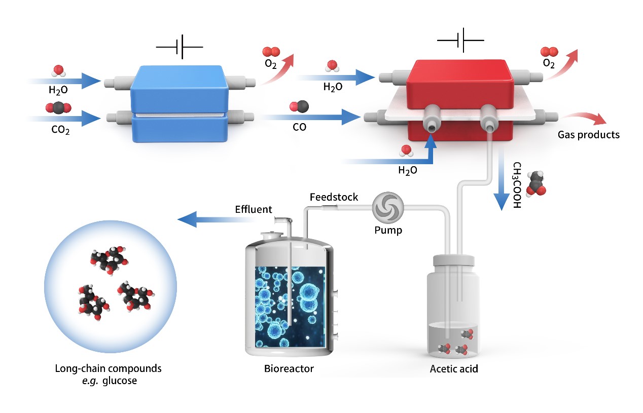 体外二氧化碳人工合成高能长链食品分子示意图.jpg