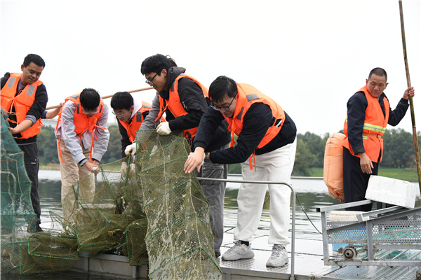 b77676a4581c10a080fcf9f001e266ed_c54cf.j