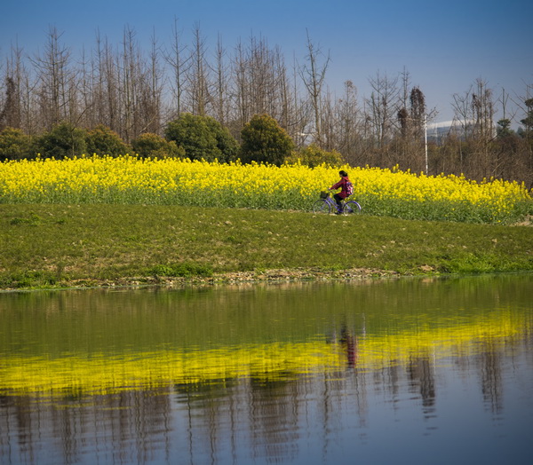 _DSC5907_缩小大小.jpg