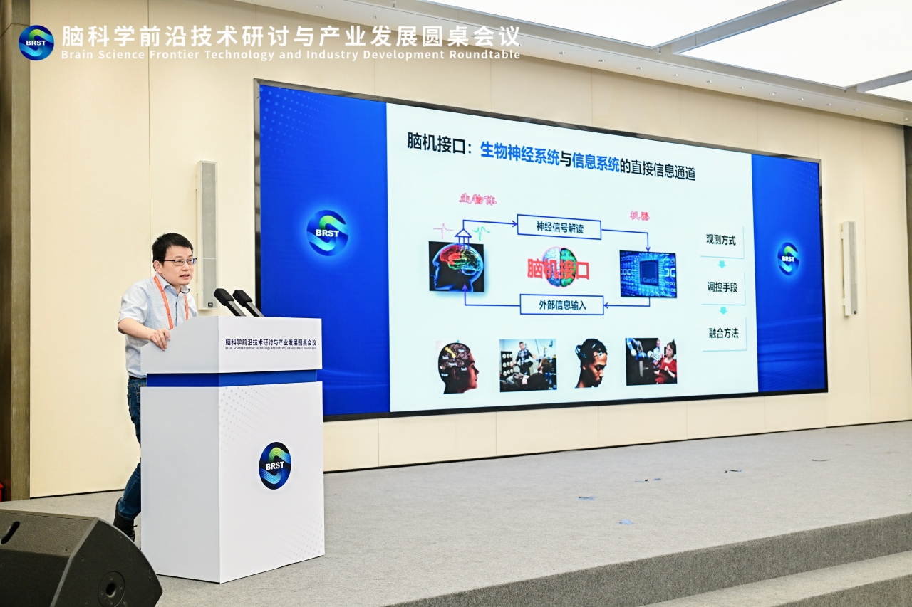 图片7 潘纲JPG.JPG