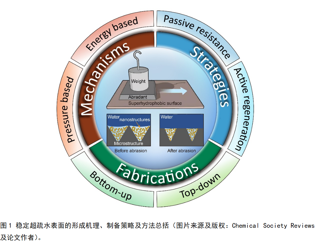 邓旭 图1.png